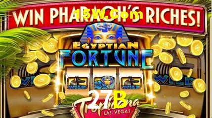 Experiência VIP 27B